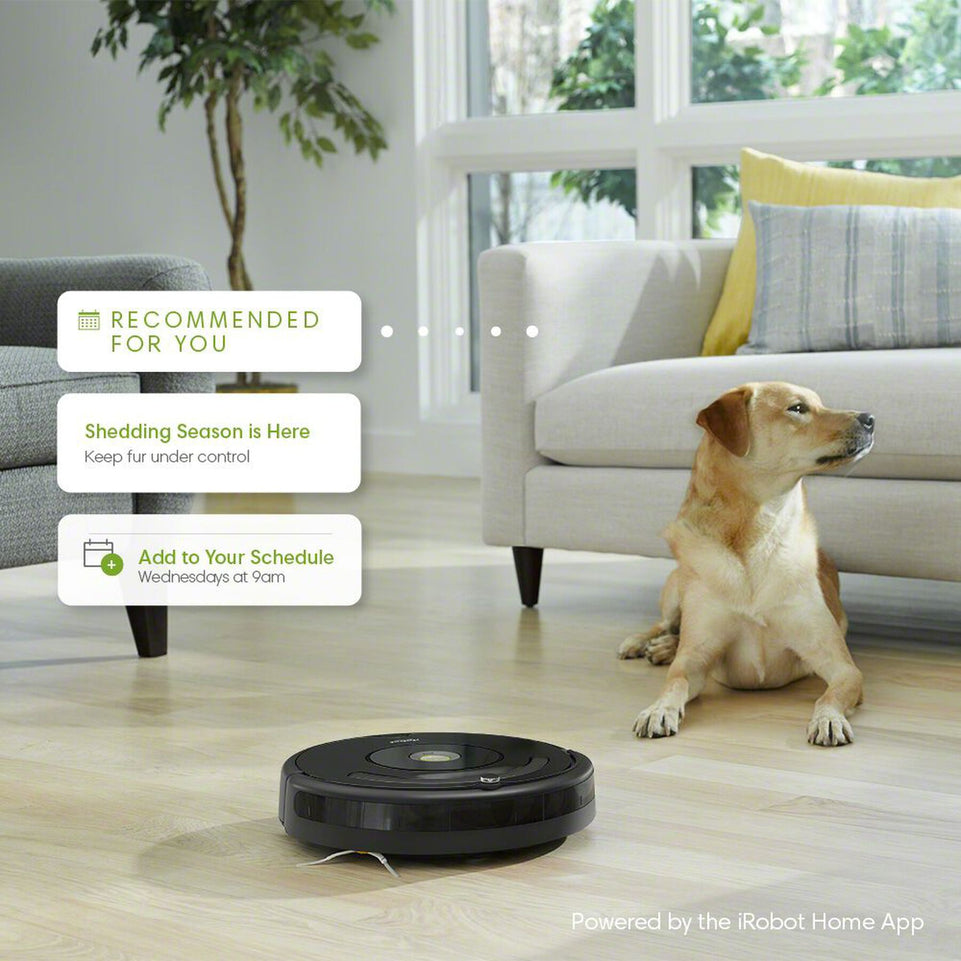 iRobot Roomba 675 Robot Vacuum Cleaner | Wi-Fi Connected