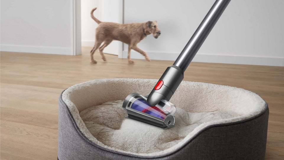 Dyson V8 Absolute Cordless Vacuum Cleaner